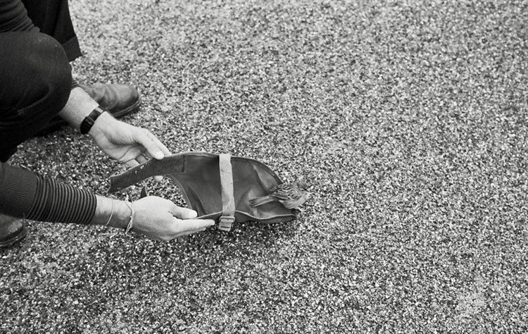 MUSA Splats (pair) - Image 9